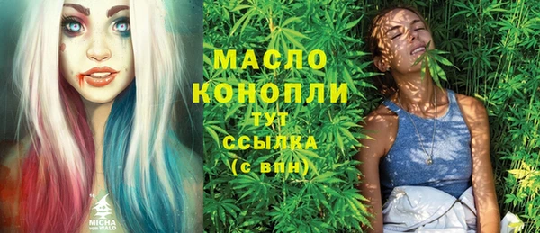 spice Богородск