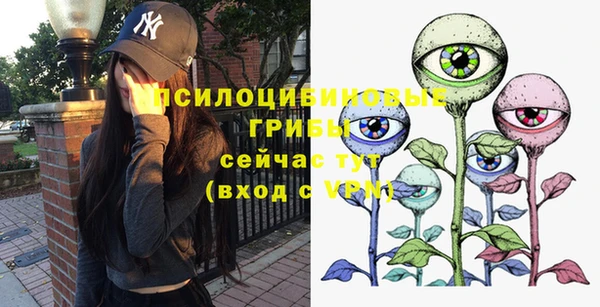 трава Богородицк