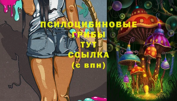 гашишное масло Богданович