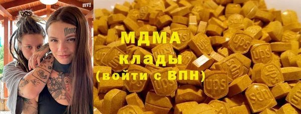 spice Богородск