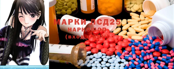 spice Богородск
