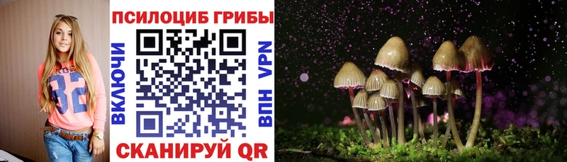 Галлюциногенные грибы Psilocybine cubensis Шатура