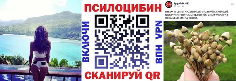 Галлюциногенные грибы Cubensis  Шатура 